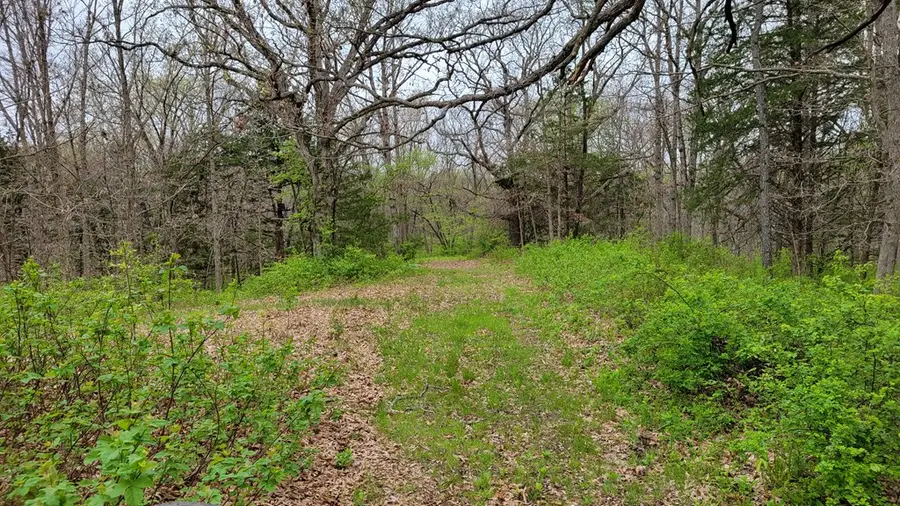 XXX Highway T, Milan, MO 63556 - #2