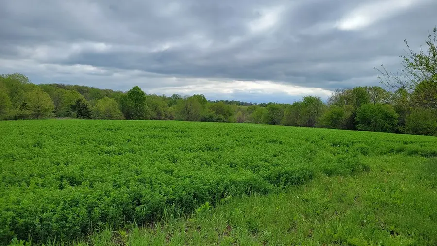 22880 Spencer Lane, Kirksville, MO 63501 - #2