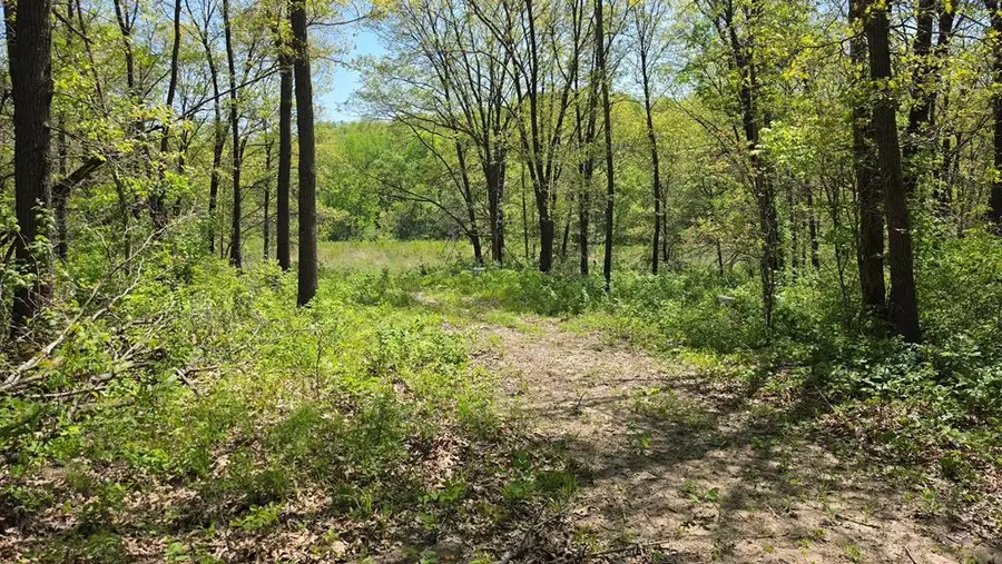 0 Private Road, Unionville, MO 63565 - #3