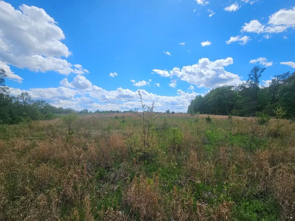 xxx Airline Street, Hurdland, MO 63547 - #1