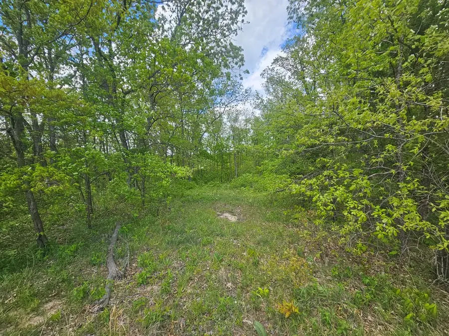 xxx Airline Street, Hurdland, MO 63547 - #2