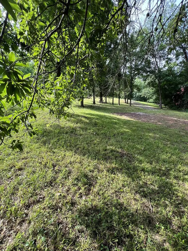 000 Dogwood Drive, Unionville, MO 63565 - #1