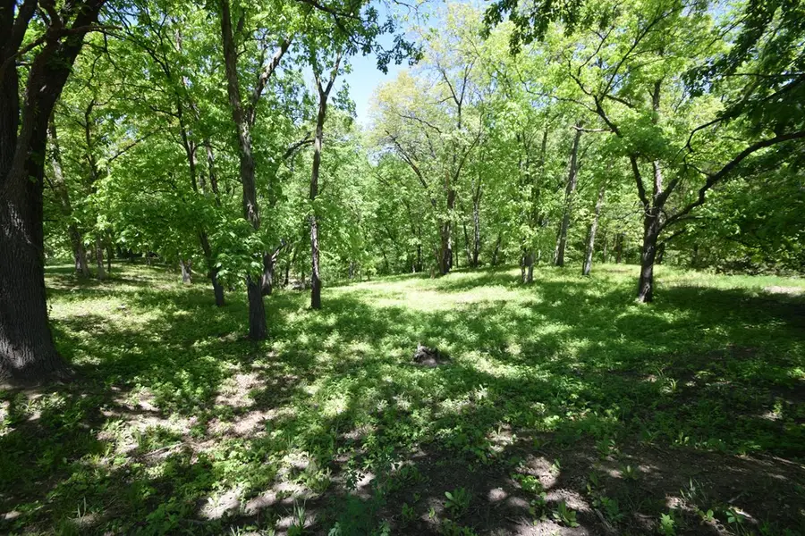 17019 Spring Beauty Drive, Unionville, MO 63565 - #3