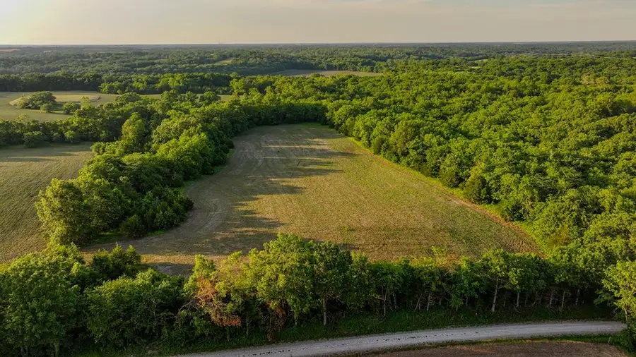 000 D218 County Road, Armstrong, MO 65230 - #3