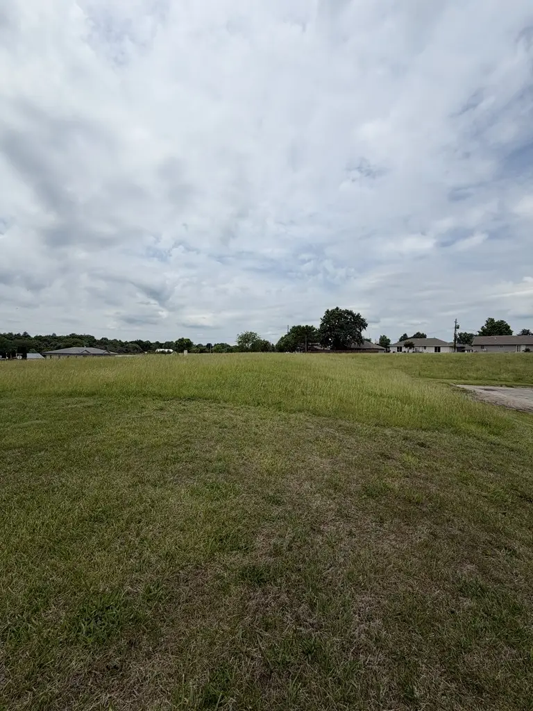 XXX S Franklin Street, Kirksville, MO 63501 - #3