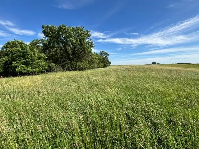 XXX Mount Vernon Rd, Lancaster, MO 63548 - #1