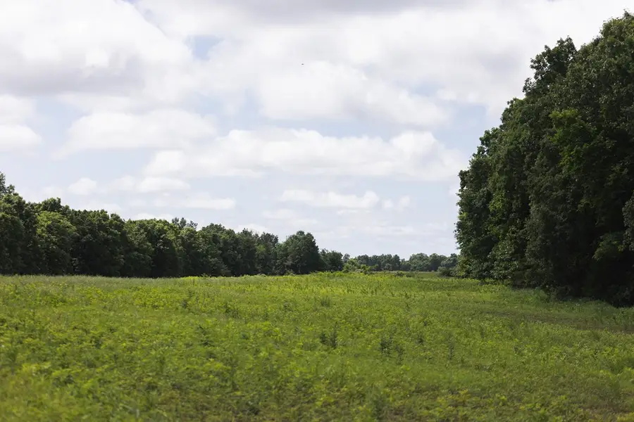 1117 Monroe Road, Madison, MO 65263 - #2