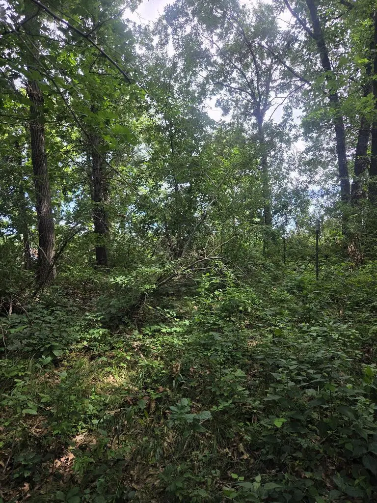 Address Withheld By Seller, Novinger, MO 63559 - #3