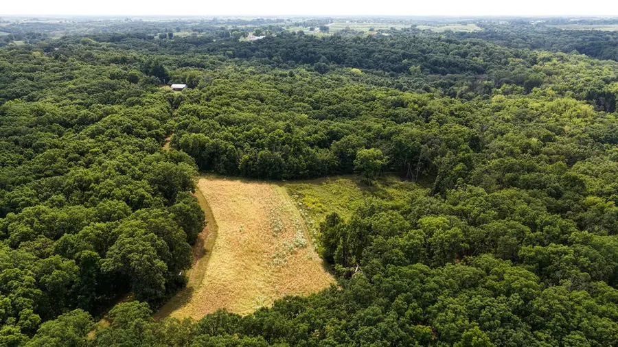 16421 Highway 129, Unionville, MO 63565 - #3