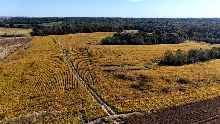 0 Marble Road, Milan, MO 63556 - #2