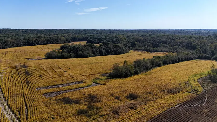0 Marble Road, Milan, MO 63556 - #3