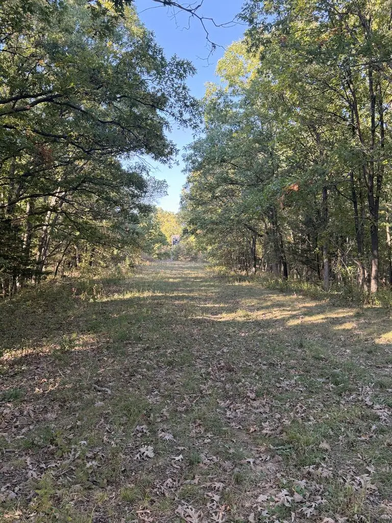000 Highway T, Mount Pleasant, MO 63531 - #1