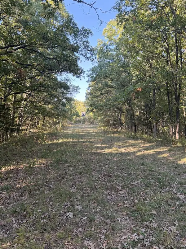000 Highway T, Bible Grove, MO 63531