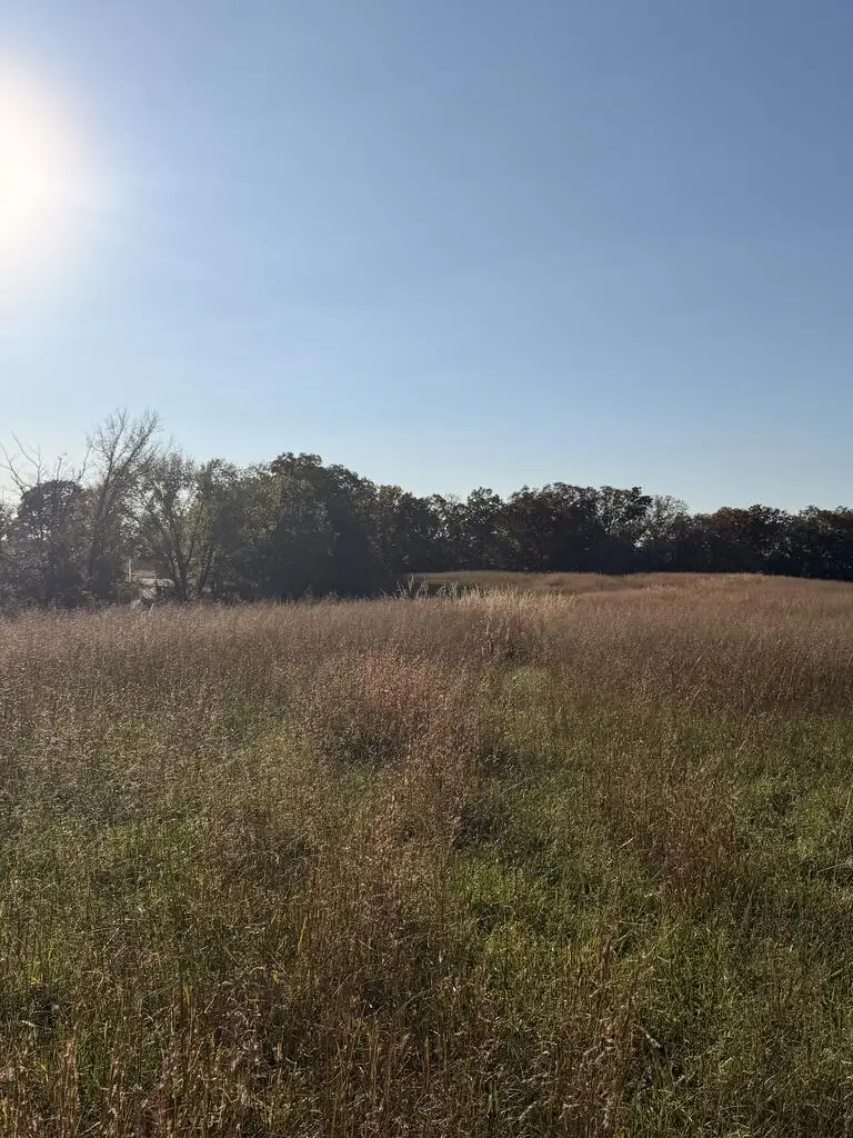 000 Highway T, Mount Pleasant, MO 63531 - #3