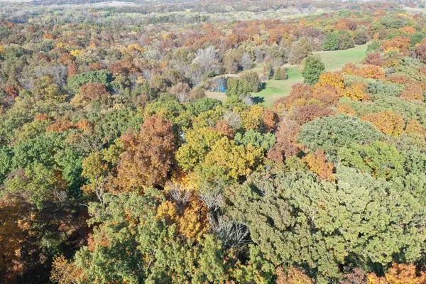 25116 Collins Drive, Milan, MO 63435