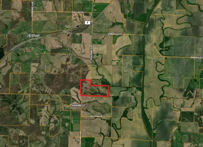 Dolphin Ave., Ethel, MO 63539 - #3