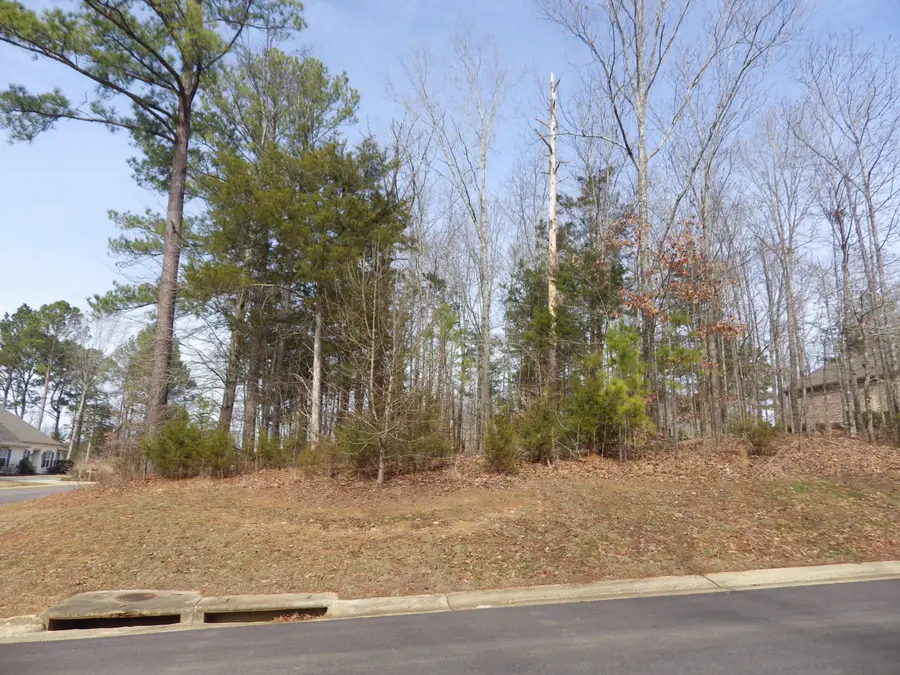 Lot 338 Foley Drive, Starkville, MS 39759 - #3