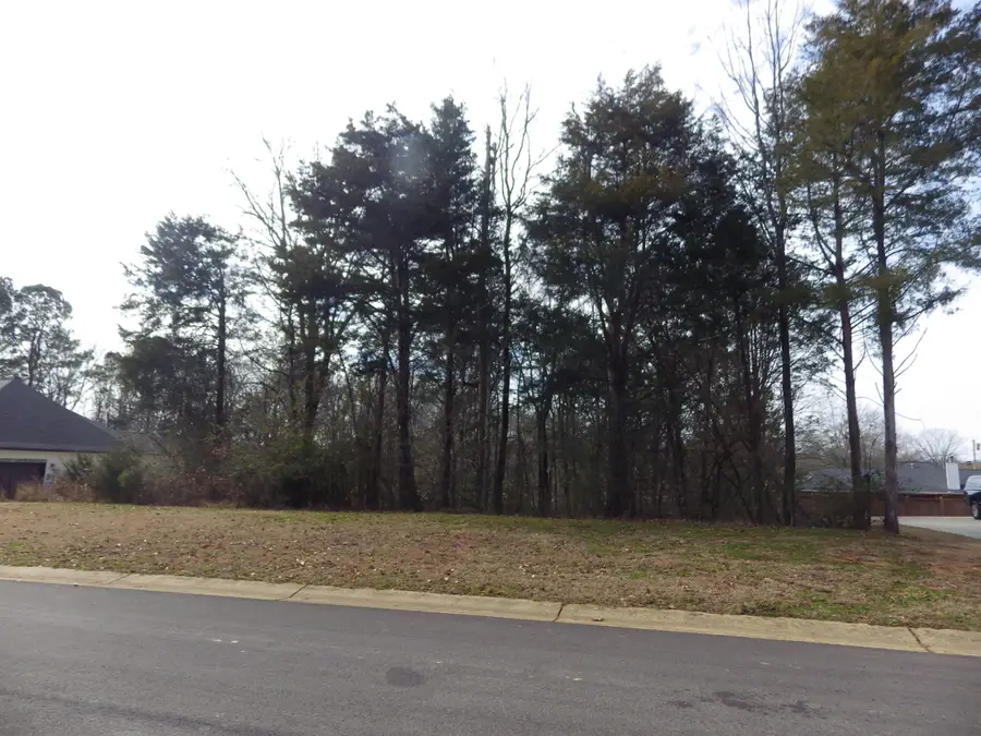 Lot 435 Day Lily Drive, Starkville, MS 39759 - #2
