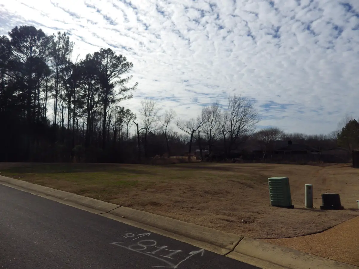 Lot 437 Day Lily Drive, Starkville, MS 39759 - #1