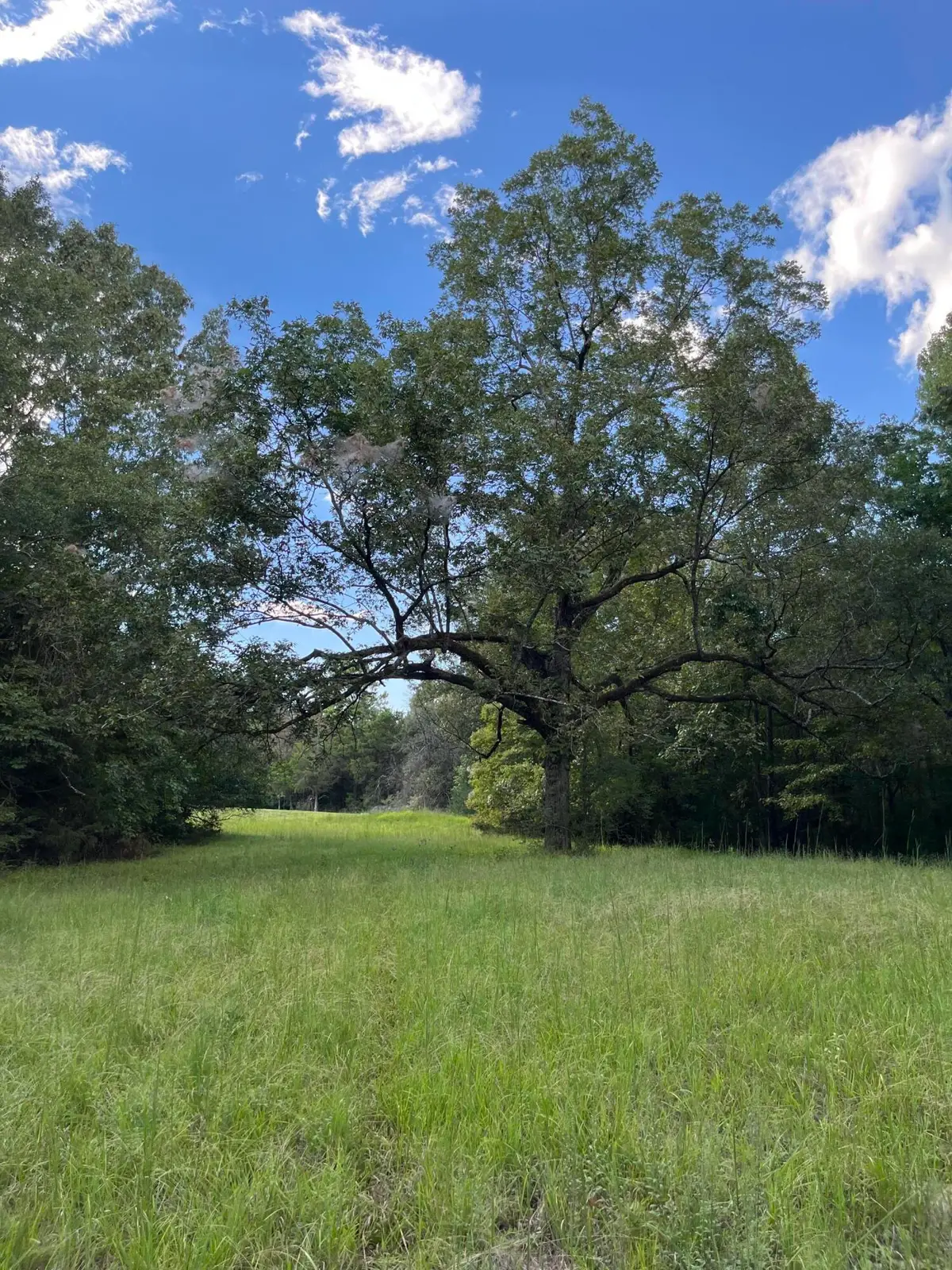 W Briar Lake Dr, Starkville, MS 39759 - #1