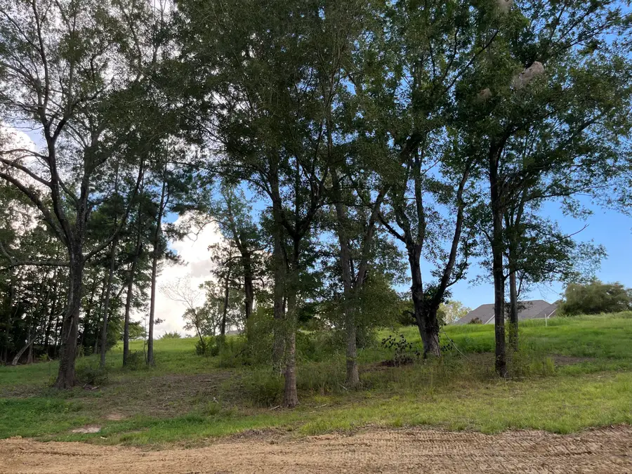 W Briar Lake Dr, Starkville, MS 39759 - #3