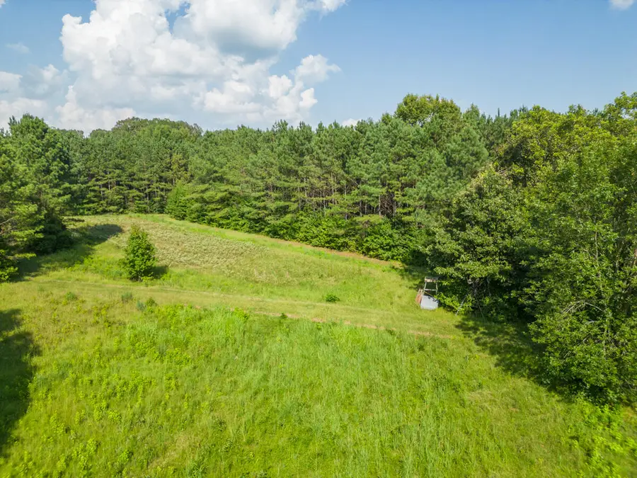 S Montgomery St, Starkville, MS 39759 - #3