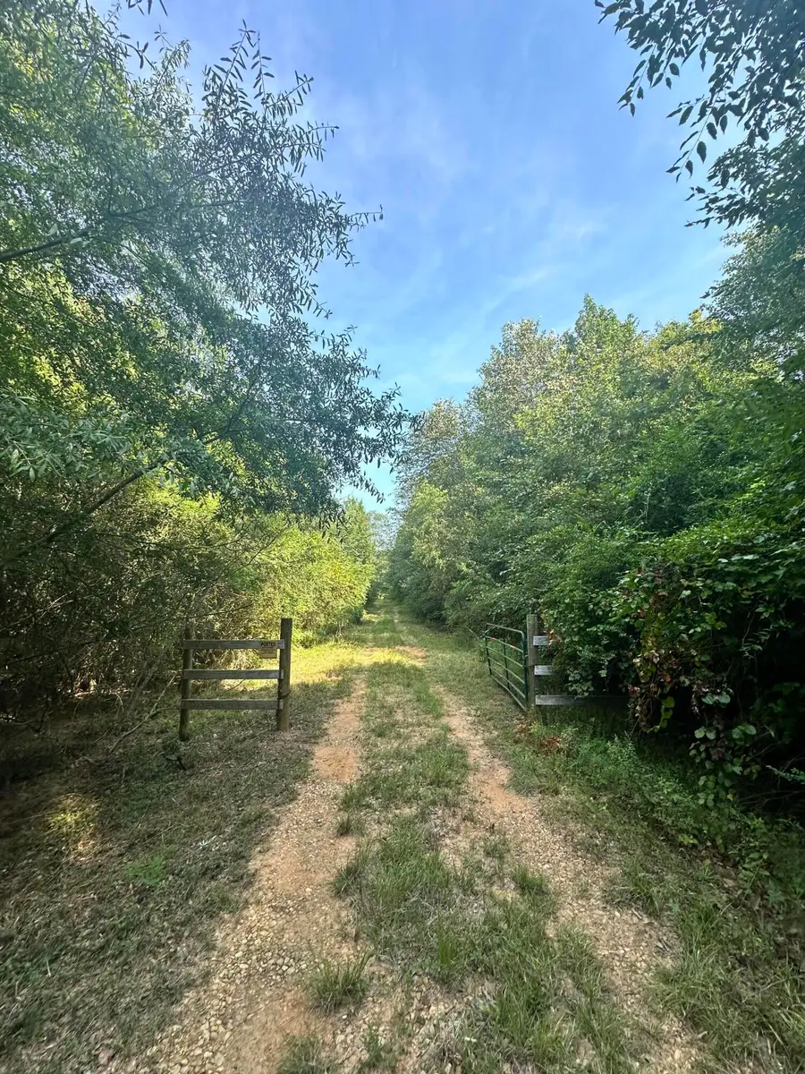 County Road 9, Millport, AL 35576 - #2