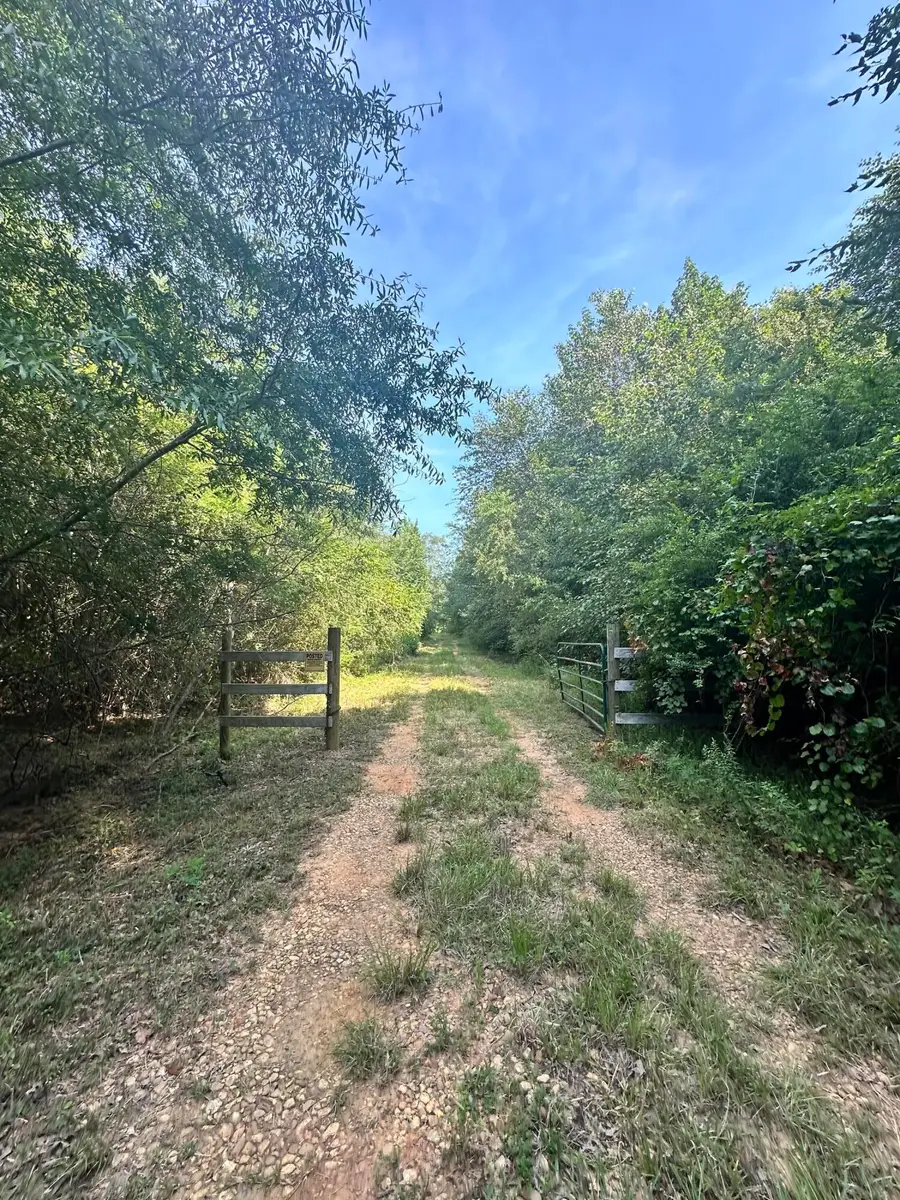 County Road 9, Millport, AL 35576 - #3