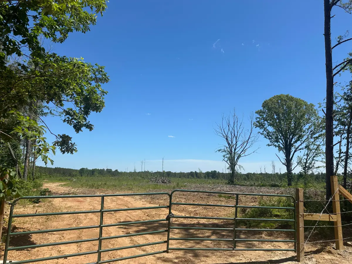 Bluitt Rd, Maben, MS 39750 - #1