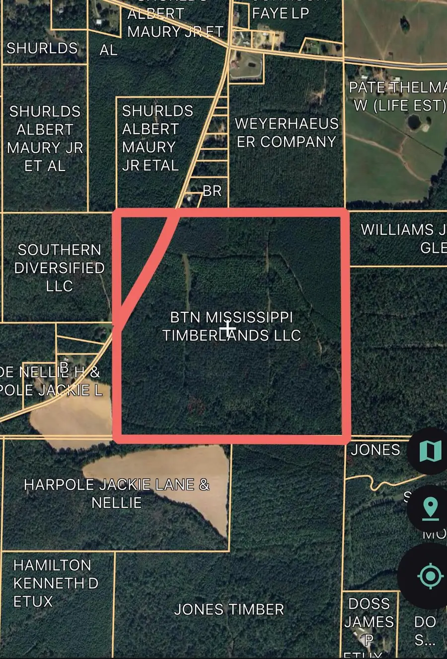 Bluitt Rd, Maben, MS 39750 - #3