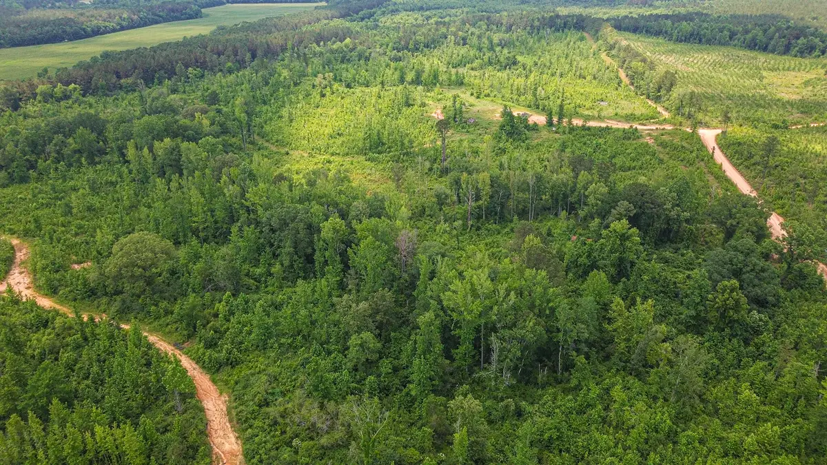 Willingham Bottom Rd, Eupora, MS 39744 - #1