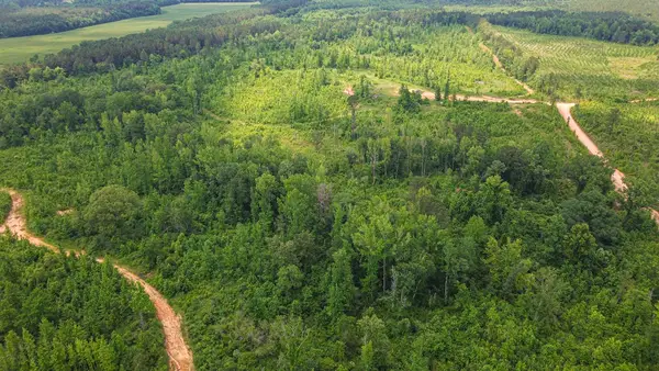 Willingham Bottom Rd, Eupora, MS 39744