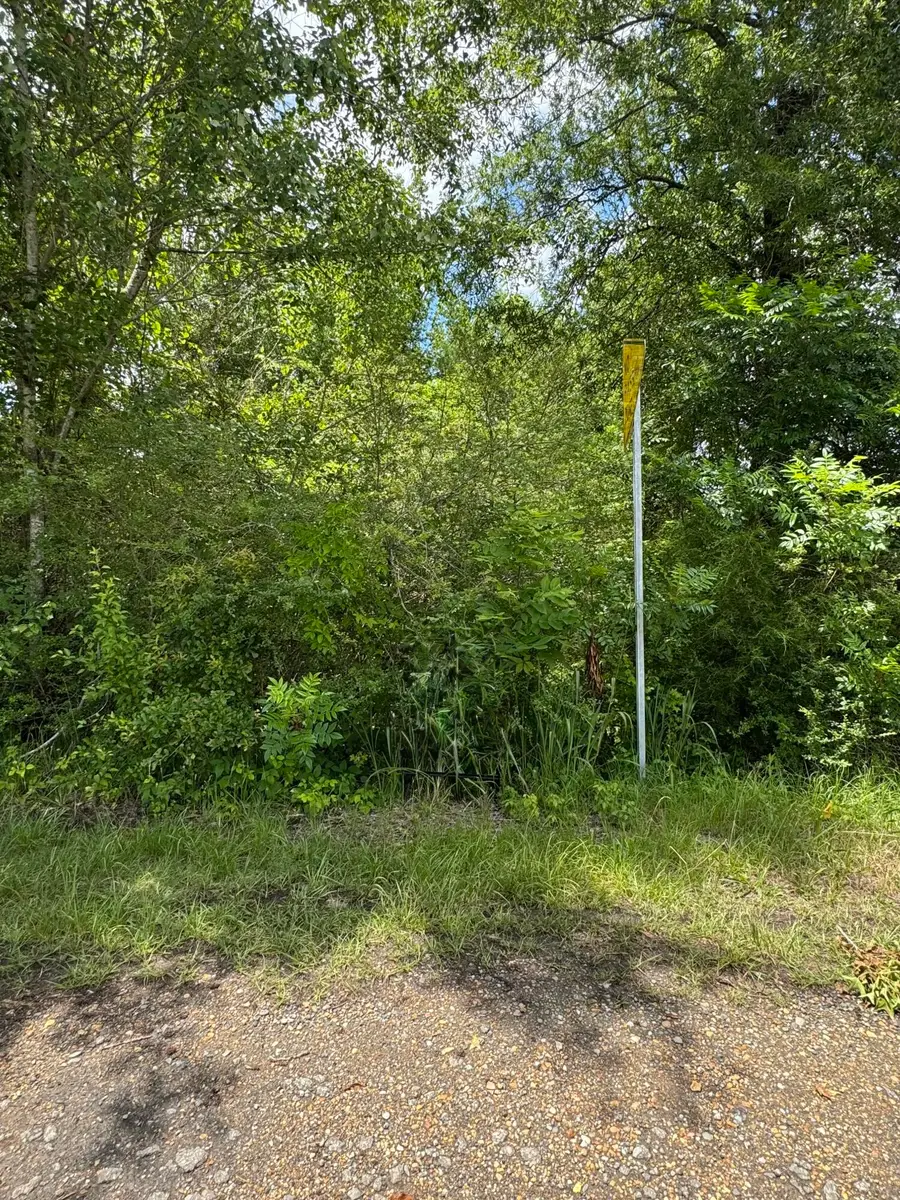 Mill Road, Kennedy, AL 35574 - #2