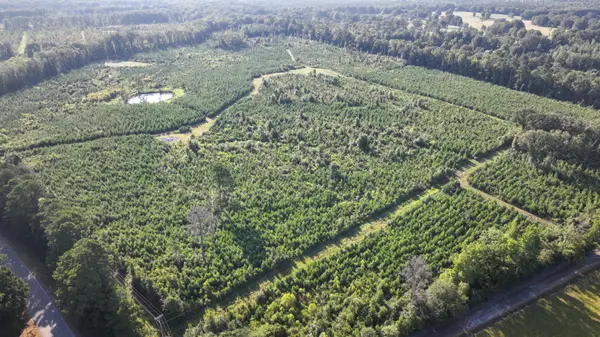 00 Highway 50, Pheba, MS 39755