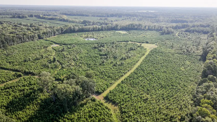 00 Highway 50, Pheba, MS 39755 - #2