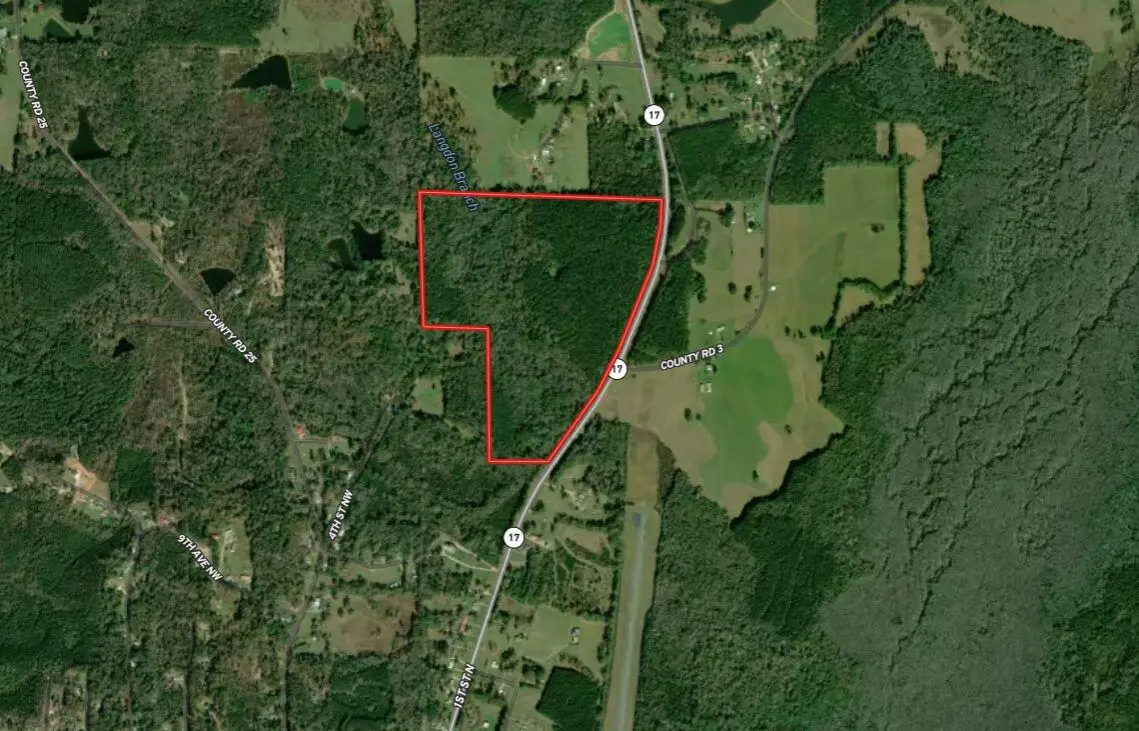 100 Hwy 17, Reform, AL 35481 - #1