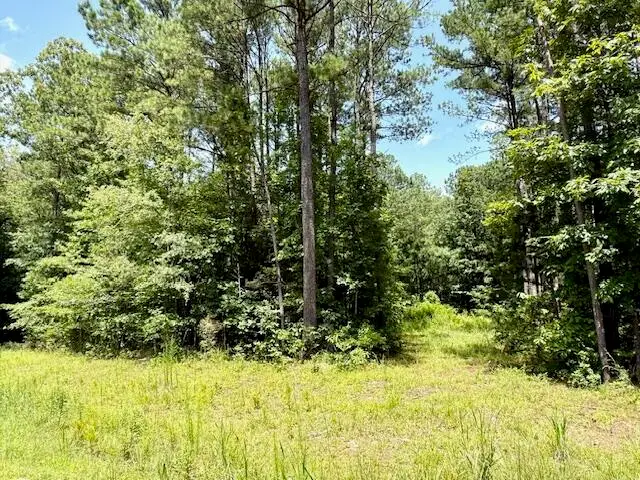 Maguire Rd Lot #5, Starkville, MS 39759 - #1