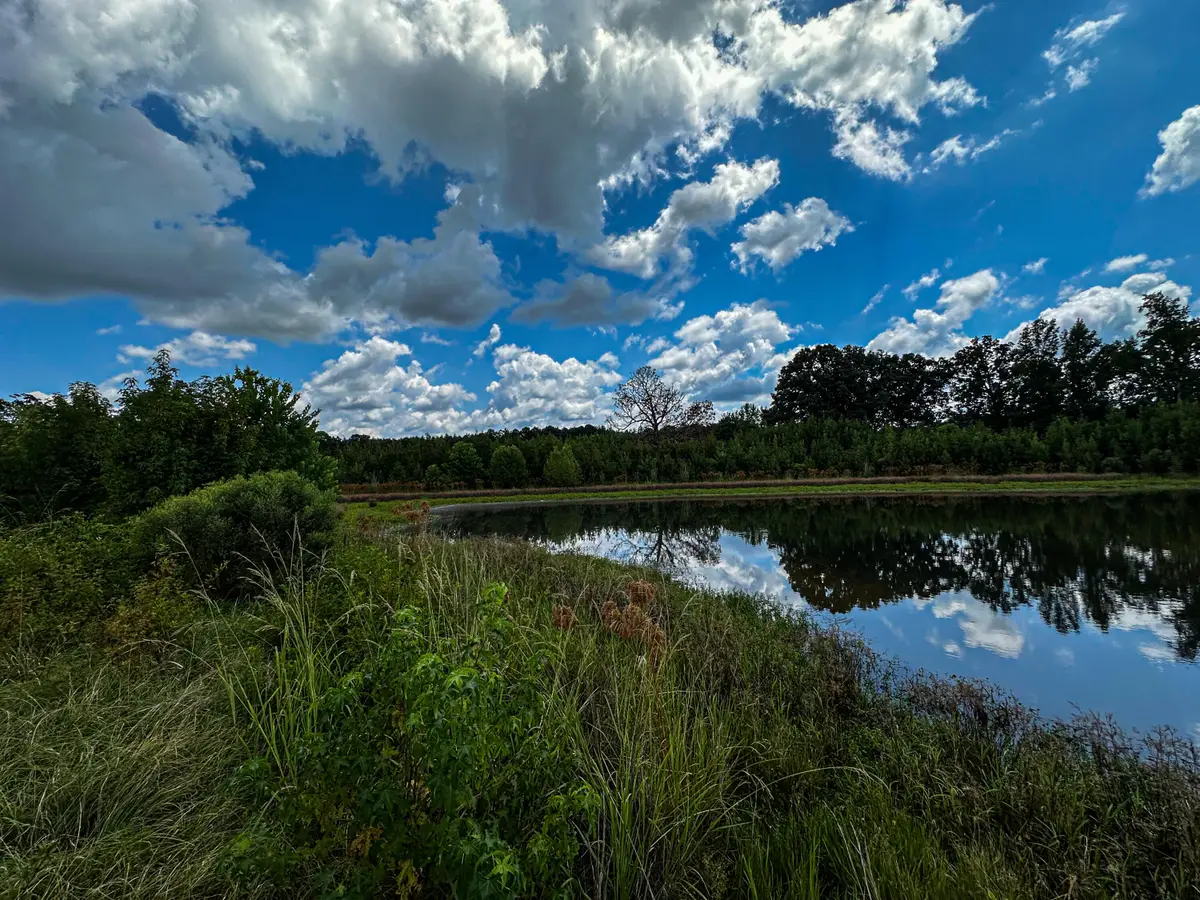 Ms-46, Cedarbluff, MS 39741 - #1