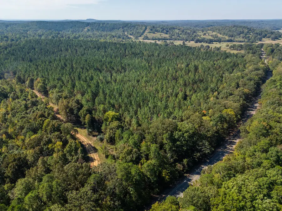 County Road 210, Pittsboro, MS 38951 - #3