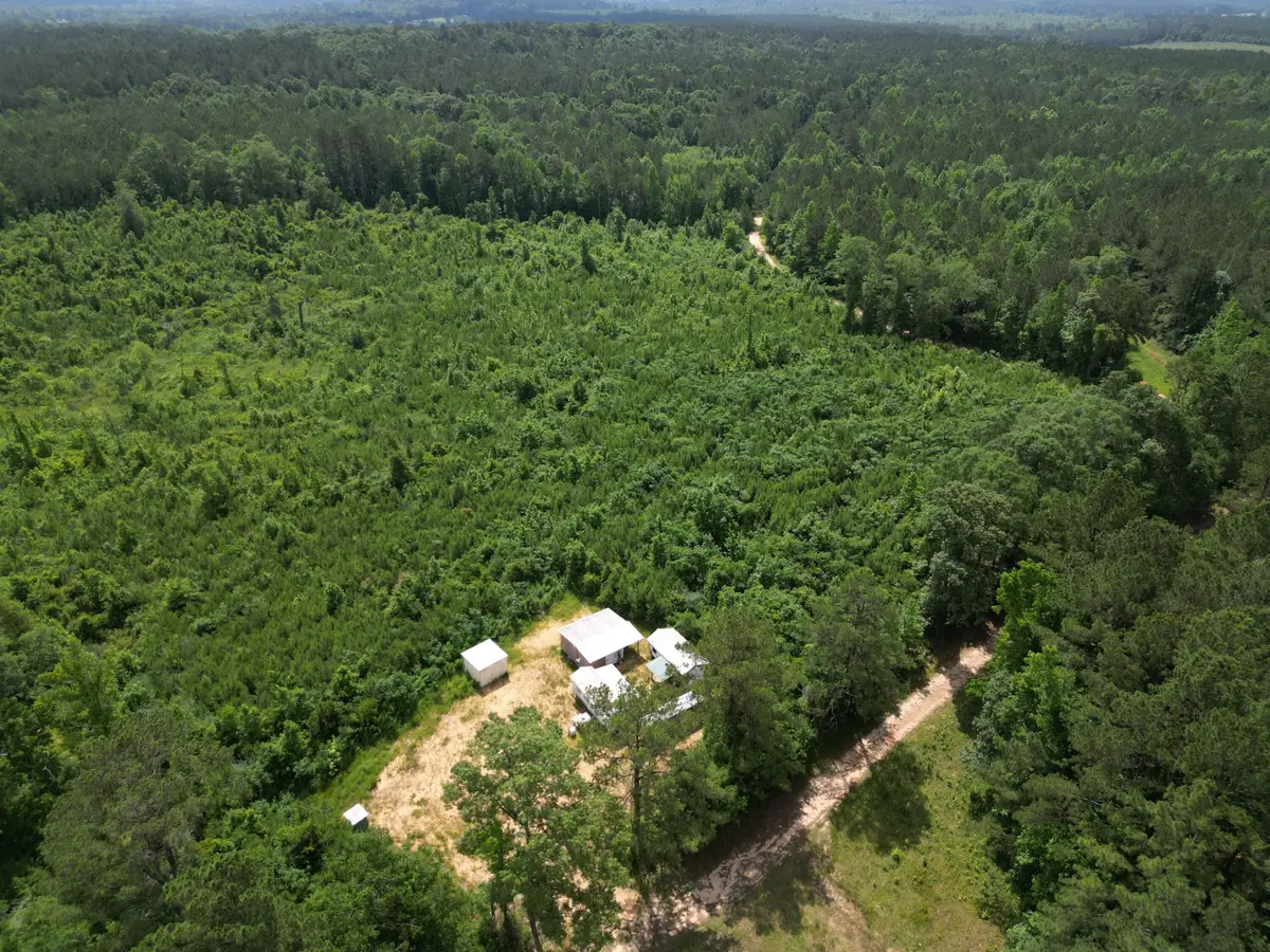 County Road 2337, Bay Springs, MS 39422 - #1