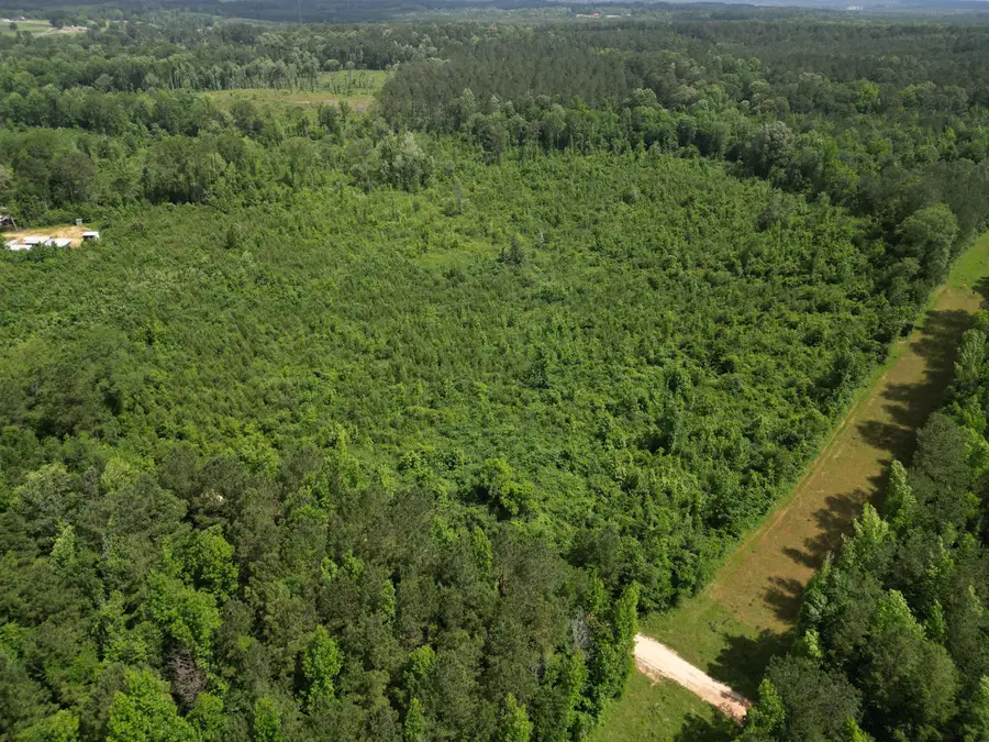 County Road 2337, Bay Springs, MS 39422 - #3