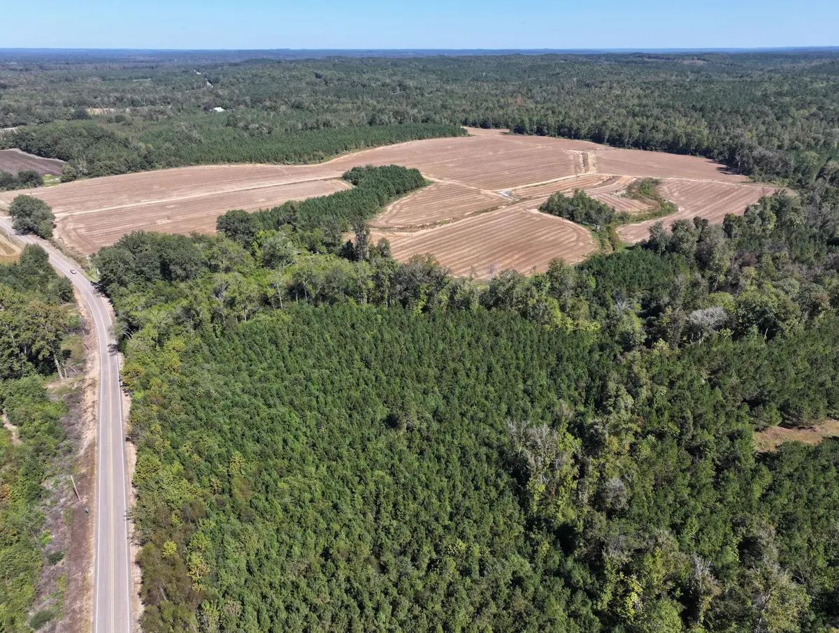 0 Wolfe Rd, Caledonia, MS 39740 - #1