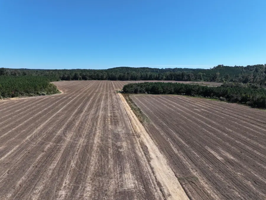 0 Wolfe Rd, Caledonia, MS 39740 - #3