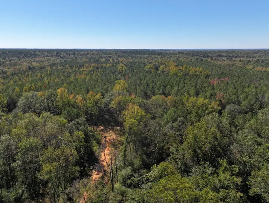 Golding Circle, Columbus, MS 39702 - #3