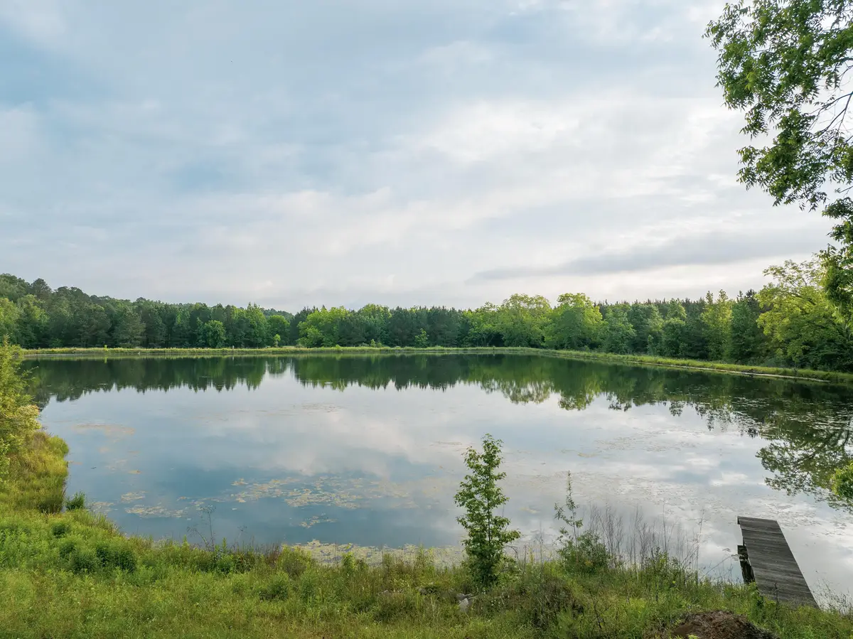 317 Forrest Hill Cir, Aberdeen, MS 39730 - #1