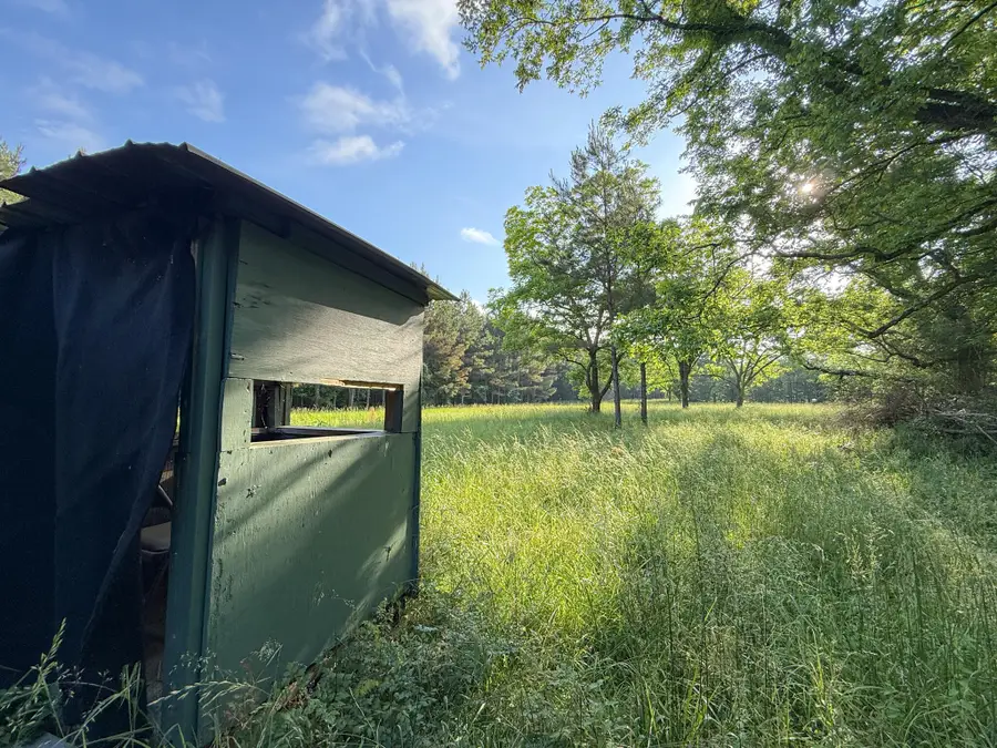 317 Forrest Hill Cir, Aberdeen, MS 39730 - #2