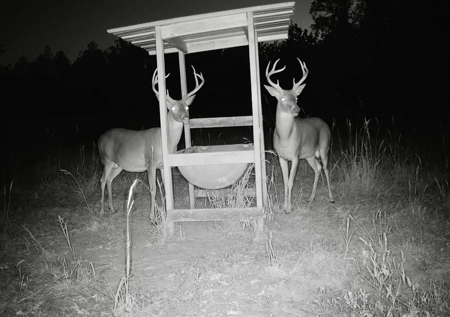 County Road 5020, Kosciusko, MS 39090 - #2