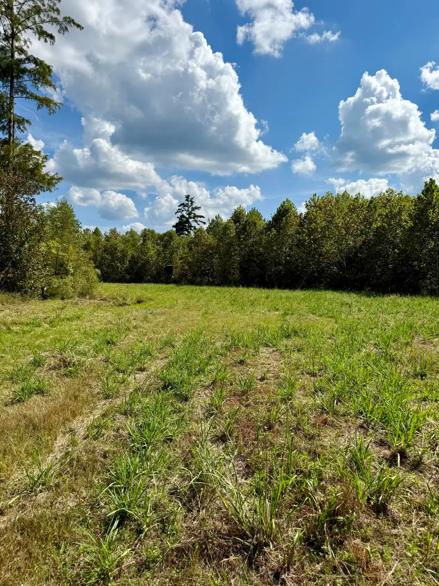 County Road 5020, Kosciusko, MS 39090 - #3