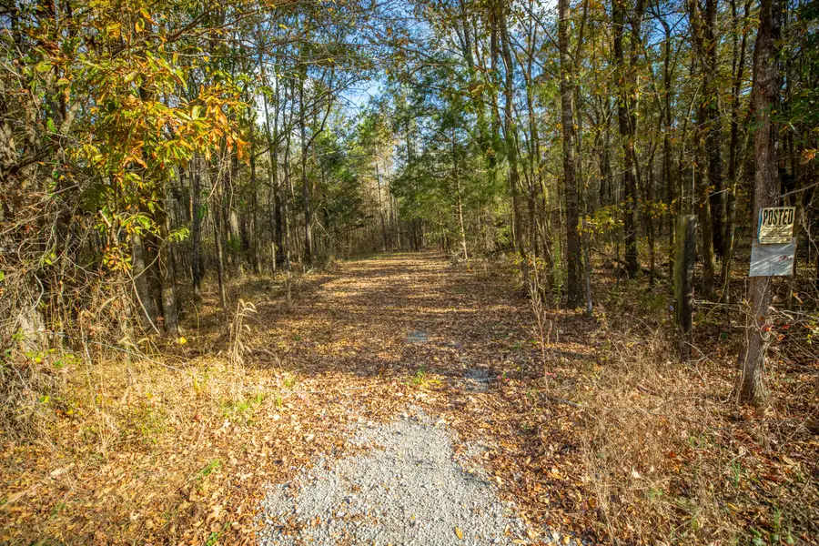 Ms-389, Pheba, MS 39755 - #2