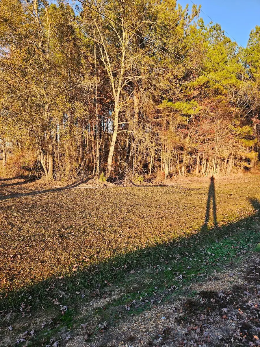 0 Wolfe Trail, Caledonia, MS 39740 - #2